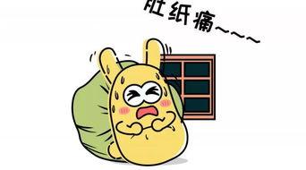 吃瓜群众275,一场全民参与的娱乐盛宴