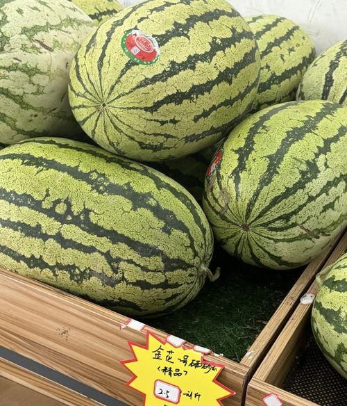 俄区吃瓜小美,揭秘俄罗斯网络红人的日常生活