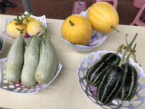 惠州今日吃瓜,吃瓜群众聚焦热点事件