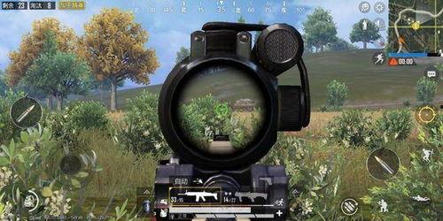 cs吃瓜青椒,揭秘吃瓜青椒背后的故事