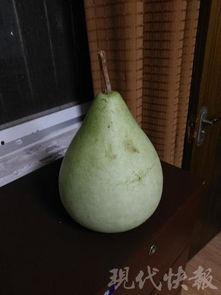 盐城老师吃瓜,一场校园风波背后的真相与反思