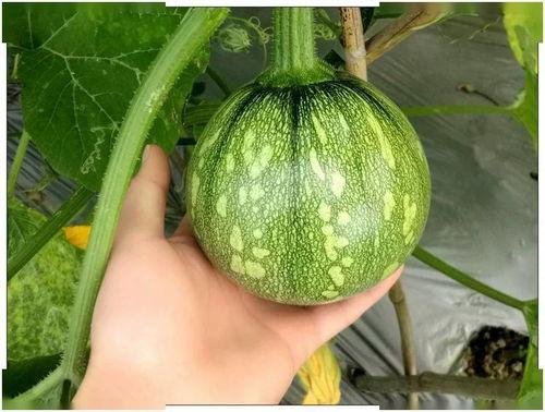 小然吃瓜,揭秘娱乐圈那些不为人知的幕后故事